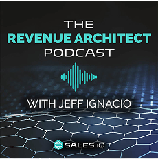 The Revenue Architect